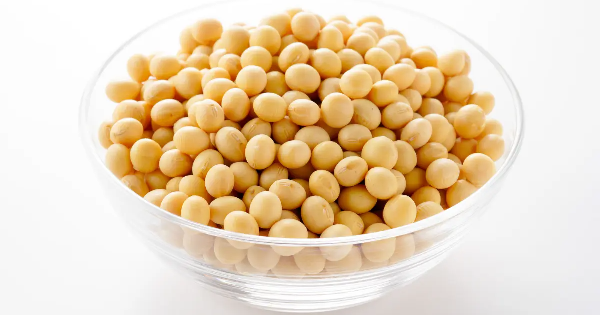 Komu zaufać przy zakupie śruty sojowej? Sprawdź, na co zwrócić uwagę, zanim wybierzesz dostawcę